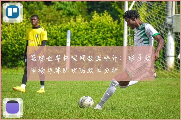 篮球世界杯官网数据统计：球员效率榜与球队攻防效率分析
