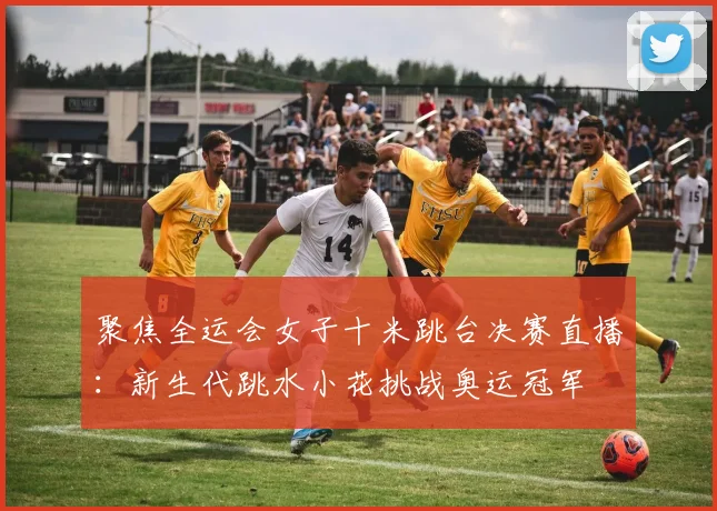 聚焦全运会女子十米跳台决赛直播：新生代跳水小花挑战奥运冠军