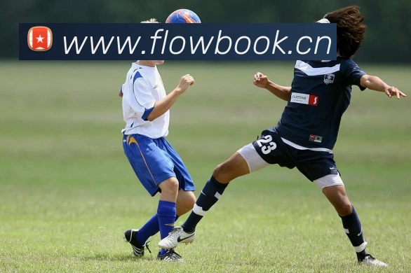 多媒体互动体验